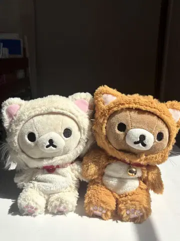 리락쿠마 코리락쿠마 고양이 코스튬