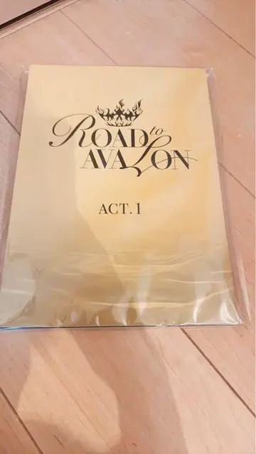 [대본] 후지사와 분오 READING HIGH ROAD to AVALON