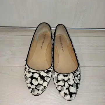 츠모리치사토 펌프스 23.5cm