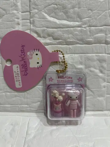 산리오 미니어처 패키지 참 헬로키티