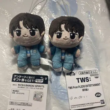TWS From PLEDIS ENTERTAINMENT 홓와누이 신유
