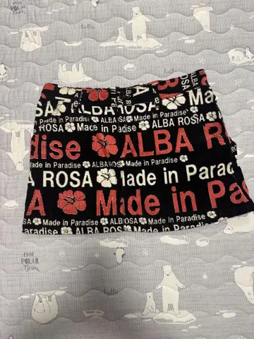 ALBA ROSA 미니 스커트 헤이세이 갸루