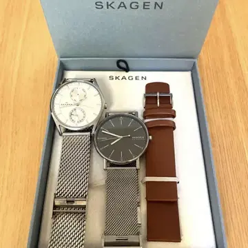 시계 SKAGEN 실버 가죽 남성용 세트 워치