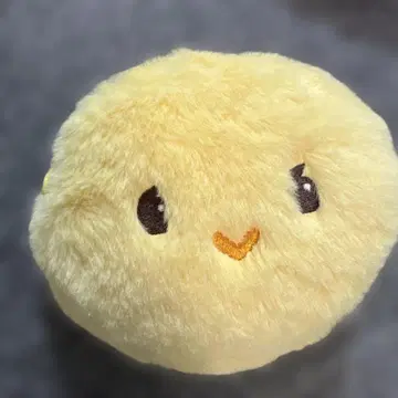 SHINee 태민 TAEMARI 테마리 파우치