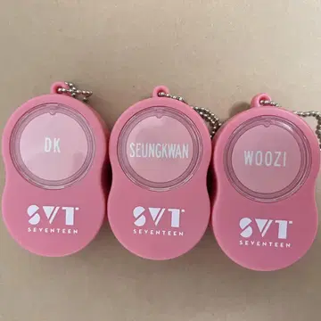 SEVENTEEN 2019 팝업 음성 참