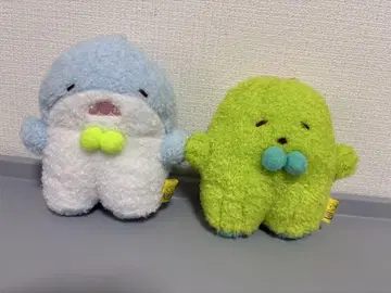 후와후와탓톤 상어 선인장 S