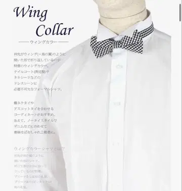 [결혼식이나 촬영에! ] 윙카라 셔츠