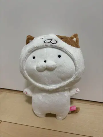 우사마루 봉제 인형 고양이