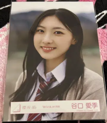 사쿠라자카46 브로마이드 타니구치 아이리 여름의 지름길 요리