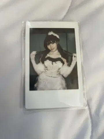 톤치키 사키나 체키