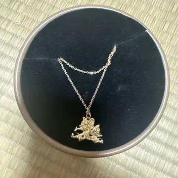 골드 컬러 티타늄 목걸이 Jewelry Collection