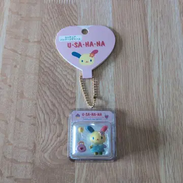 우사하나 미니어처 패키지 참