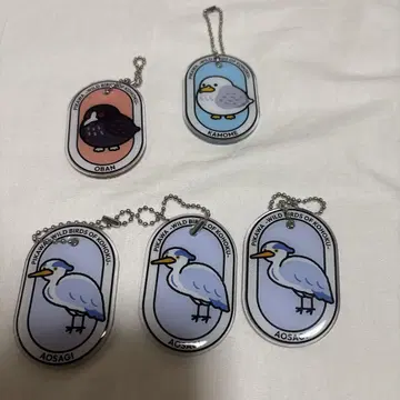 시가 새 키링