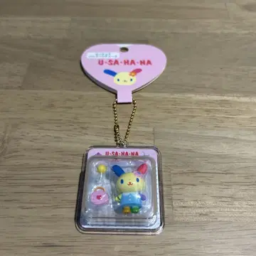 우사하나 미니어처 패키지 참