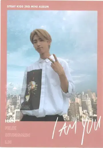 StrayKids I AM YOU HAN 트레이딩 카드 폴라로이드