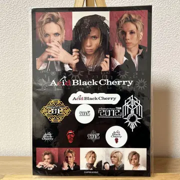 Acid Black Cherry TOUR 2012 스티커 세트