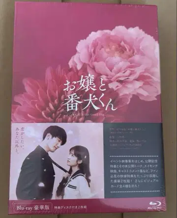 아가씨와 경호견 럭셔리판 미개봉 새상품 특전 없음