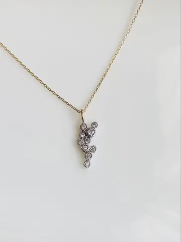SIENA ROSE 별자리 목걸이