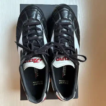모렐리아 2 Japan 크로스 스티치 27 cm