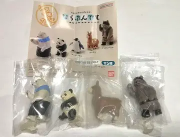 시로쿠마 카페 나라분데스