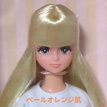 엄선 2019년 니혼바시 BASIC 모델 제시카 새상품 리카짱 캐슬