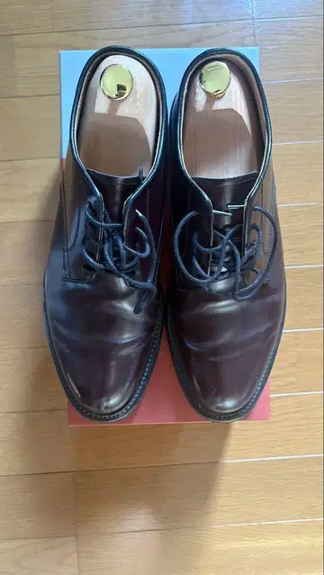 REGAL worth collection 다크 브라운 25.5EE