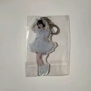 iLife! 아이스 실사 아크릴 키링