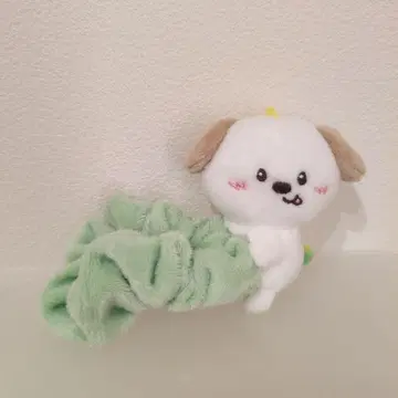 RIIZE 앤톤