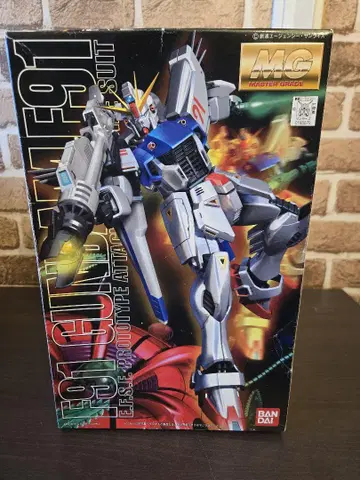 MG 마스터 그레이드 1/100 건담 F91 프라모델 미조립 반다이