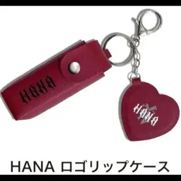 HANA 로고 립 케이스