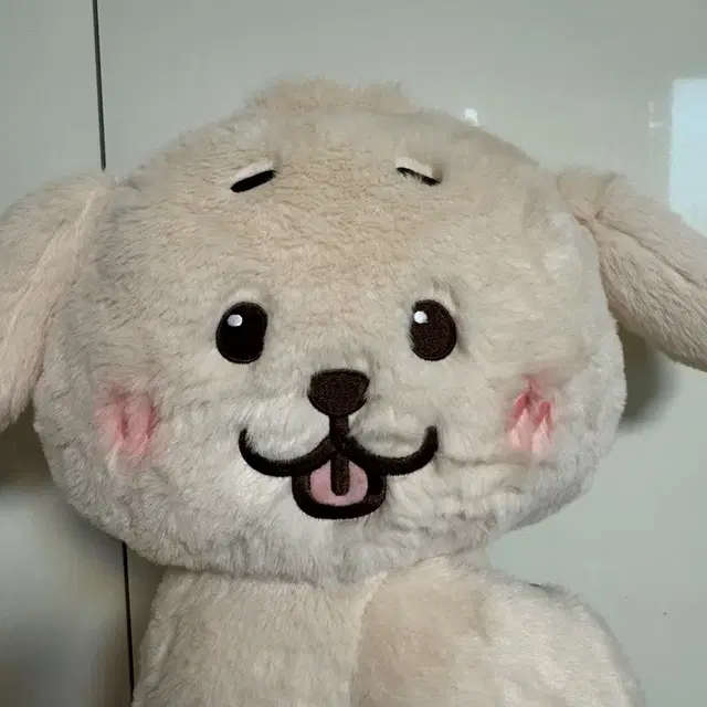 댕트리버 가방 재희 대영 응원봉가방 양도해요!!