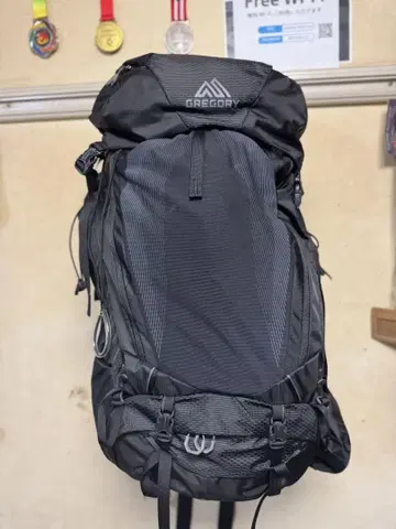 GREGORY BALTORO 65L