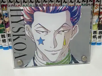 HUNTER x HUNTER 히소카 아크릴 스탠드 패널