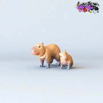 아니아 카피바라 모자 레어