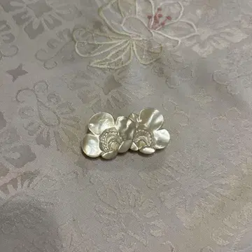 오비도메