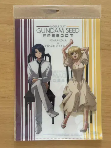 클리어 파일 기동전사 건담 SEED FREEDOM 6매 묶음 판매