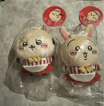 치이카와 레스토랑 홀 담당 마스코트 토끼 랏코