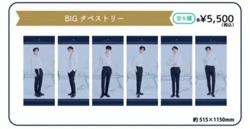 PENTAGON BIG 태피스트리 전 6종