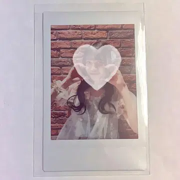 이기나리 도호쿠산 요시세 마주 폴라로이드
