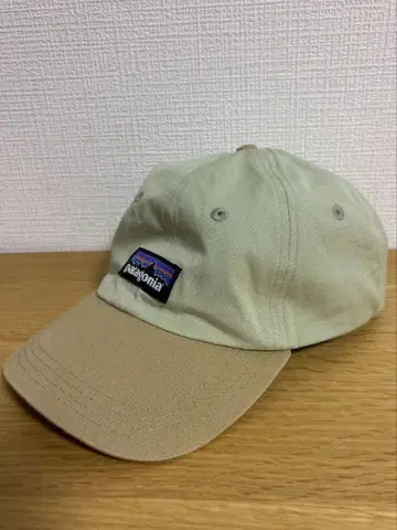 파타고니아 patagonia P-6 라벨 트레디셔널 캡