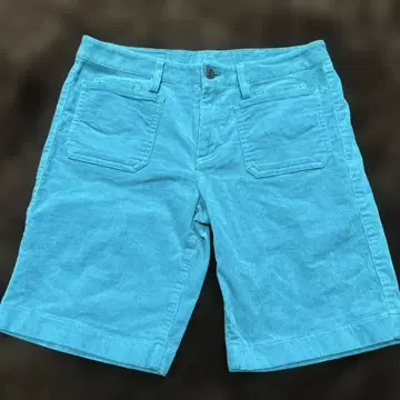 LACOSTE 터콰이즈 숏팬츠