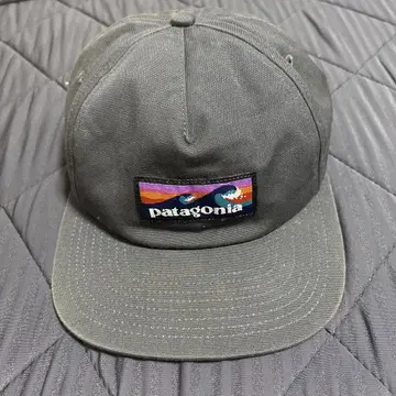 Patagonia 캡