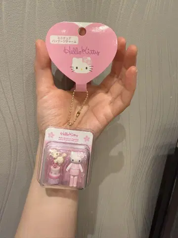 (미사용 새상품) 산리오 미니어처 패키지 참 쿠로미