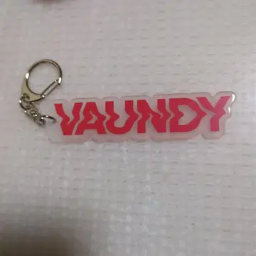 VAUNDY 키링 빨간색