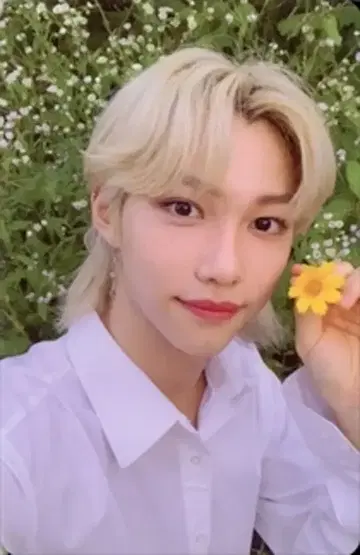 StrayKids NOEASY FELIX 트레이딩 카드 꽃