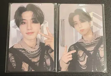 Stray Kids han