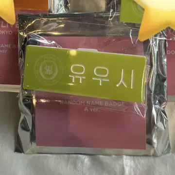NCT WISH 유우시 네임 배지