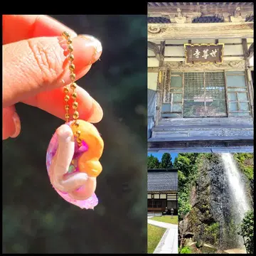 개인 물품 미용과 체력 회복 구옥 오르가나이트