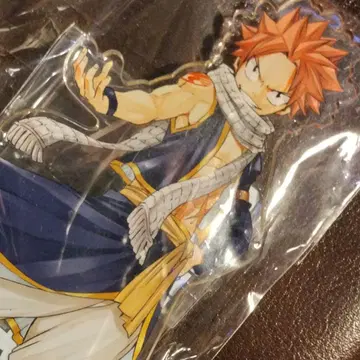 연재 15주년 기념 FAIRY TAIL 페어리 테일 판화전 나츠