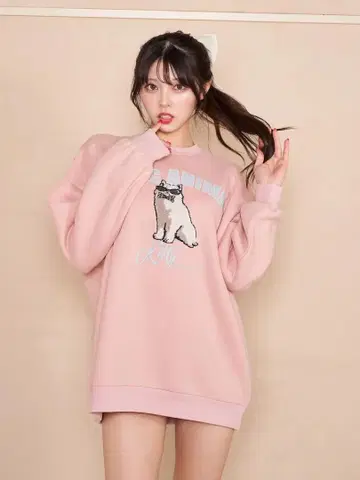 Darich 애니멀 그래픽 맨투맨 풀오버